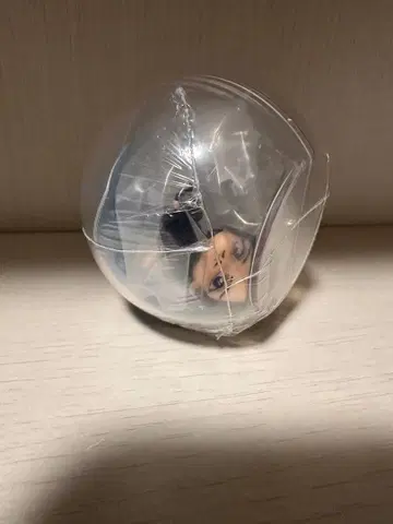 피규어 캡슐 토이 투명 캡슐