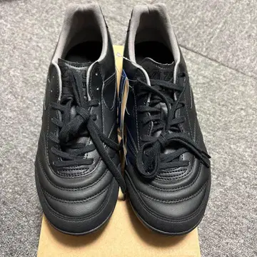 모렐리아 사라 엘리트 tf