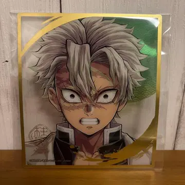 귀멸의 칼날 기둥전 시나즈가와 사네미 미니 클리어 색지