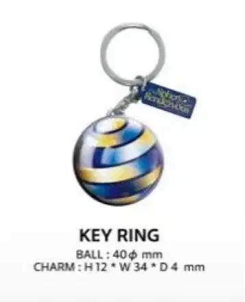 BUMP OF CHICKEN 키링