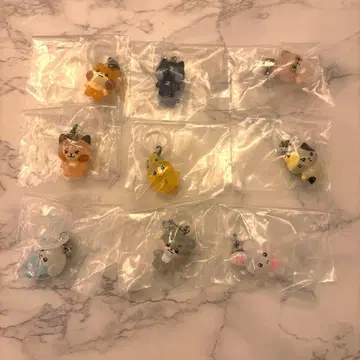 제로니 zeroni 메지루시 액세서리 컴플리트