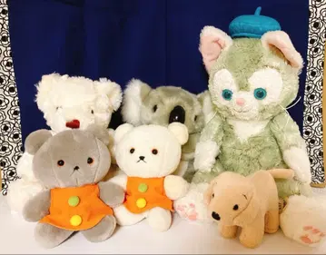 봉제 인형 세트 젤라토니, 아기곰, 시로쿠마, 코알라, 개, 곰