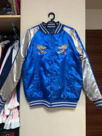 스카잔 드래곤 용 파랑