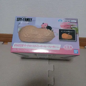 아냐 룸 라이트