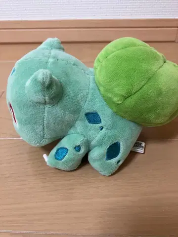 포켓몬 이상해씨 봉제 인형