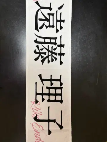 엔도 리코 타월