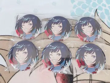 앙스타 컬렉션 캔뱃지 에스