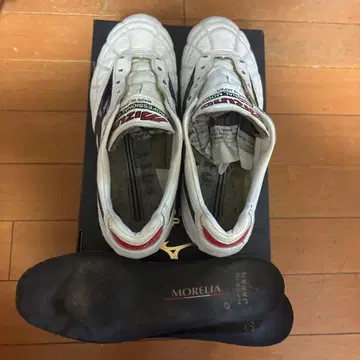 모렐리아 2 Japan 23cm 상자, 끈, 인솔 포함 가격 인하!