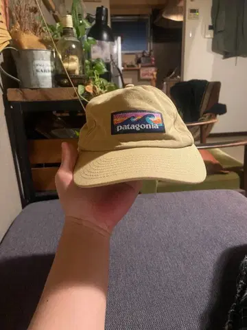 patagonia 캡