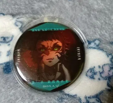 귀멸의 칼날 무한성편 이야기가 담긴 눈빛 컬렉션 캔뱃지 카이가쿠