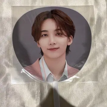 SEVENTEEN 정한 HARE 부채