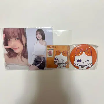 에비하라 츠즈미 066 002 특전 사랑 가챠 캔뱃지