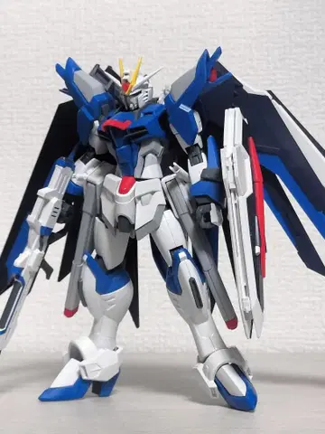 HG 라이징 프리덤