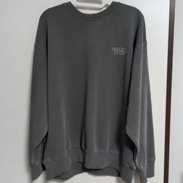 주토피아 닉과 주디 맨투맨 L 사이즈 그레이!