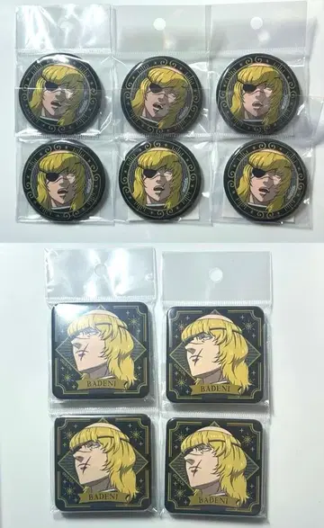 치. 지구의 운동에 대하여 바데니 캔뱃지