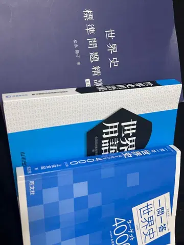 문과 난이도 높은 대학 세계사 수험 대책