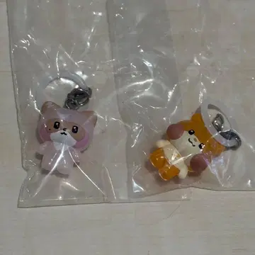 zeroni 하오 한빈 메지루시 액세서리 하니니 비니니