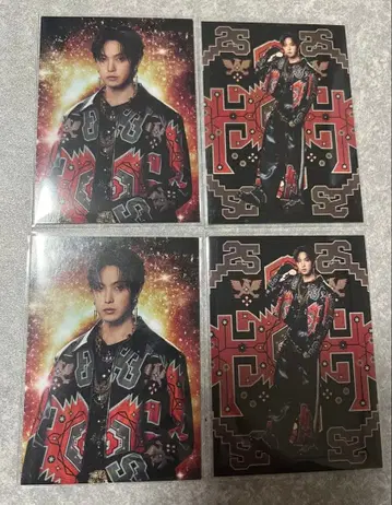 호리 나츠키 EXILE 포토 카드 4점 익명 배송