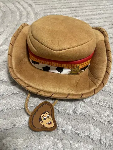 우디의 모자 [ 즉시 구매 가능 ] [ 가격 인하 가능 ]