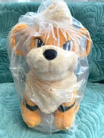 포켓몬 센터 센터 앉은 봉제 인형 꼬부기