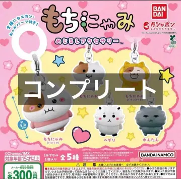 모니차미 메지루시 액세서리 컴플리트