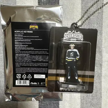 seventeen 에스크 아크릴 키링 home