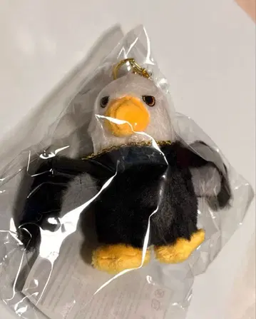 Mrs. GREEN APPLE 사용자의 새 (포토 카드 포함)