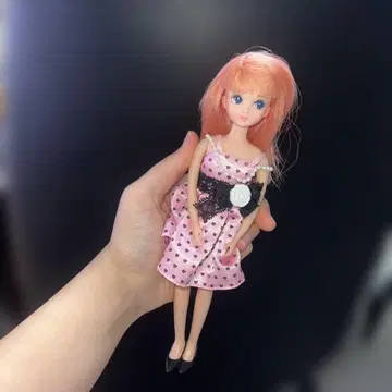 헤어 컬러 체인지 히나짱과 리카짱의 드레스룸