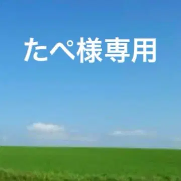 미사용 화이트하우스콕스 브라이들 레더 접이식 지갑 레드 박스 포함