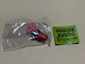 콘도 다이스케 DAISUKE KONDO art collection 꽃