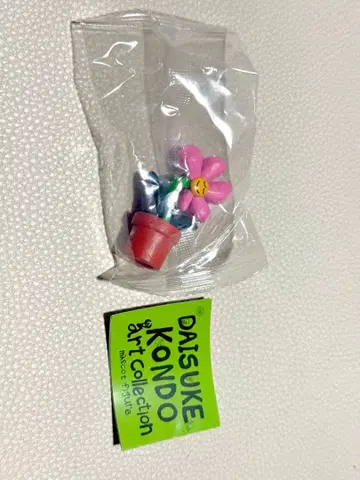 콘도 다이스케 DAISUKE KONDO art collection 꽃