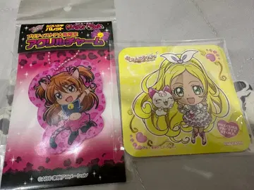 프리큐어 호조 히비키 카와이로 팔레트 아크릴 참 덤 포함