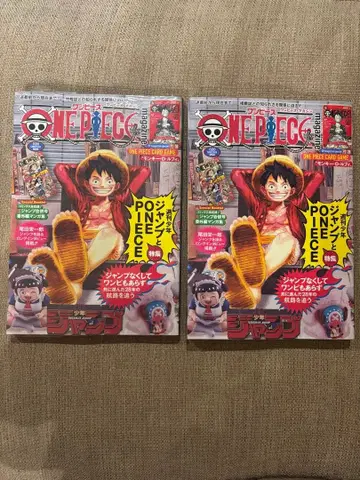 원피스 매거진 프로모 2권