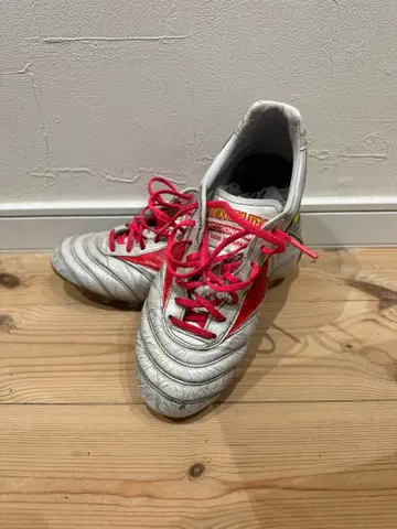 모렐리아 2 재팬 24.5