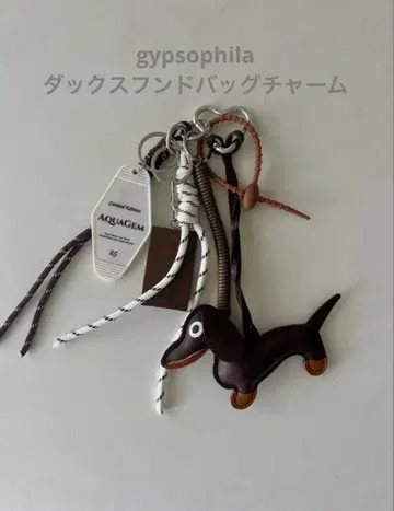 gypsophila 닥스훈트 백참