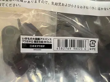 생물대도감 어드밴스 사슴벌레02 1넓적사슴벌레 온라인판