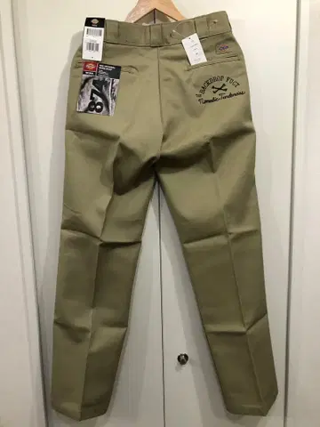 Dickies BACKDROP FUCT 워크 팬츠 30