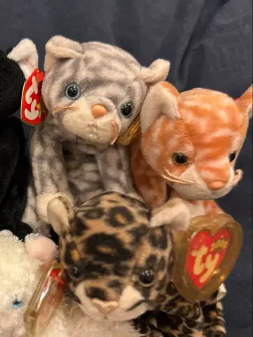 Ty 비니 베이비 고양이 세트
