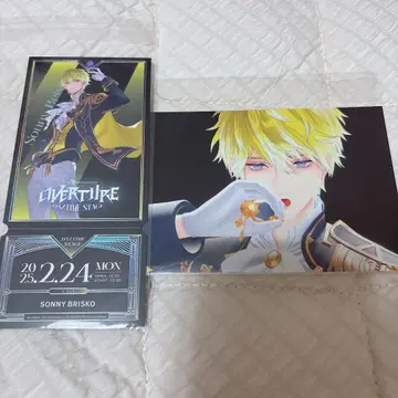 서니 블리스코 OVERTURE 티켓풍 카드 브로마이드