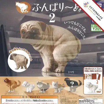 컴프   2 [ 총 5종 ]