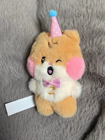 zeroni 비니니 미니 봉제 인형 키링 ZB1 한빈