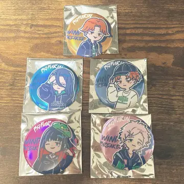 WIND BREAKER 윈드브레이커 오로라 캔뱃지