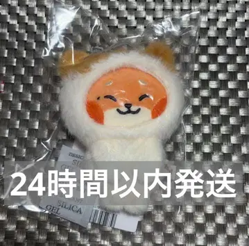 튀니니 팝업 마그넷 사진 홀더