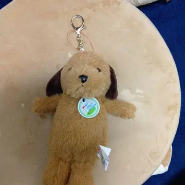 골프공 파우치 개