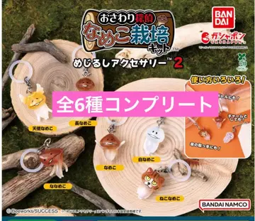 나메코 재배 키트 메지루시 액세서리 2 컴플리트