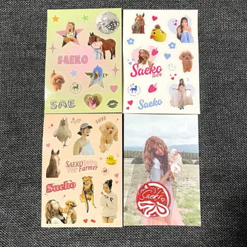 사에코 트레이딩 카드 스티커 세트 nasufarmvillage