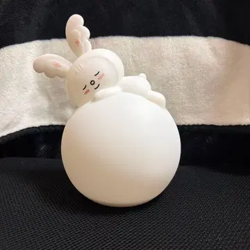 SEVENTEEN 세부치 정한 라무 룸 라이트