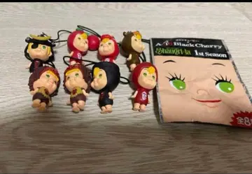 Acid Black Cherry 굿즈 덤 포함