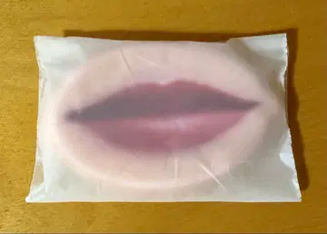 RADWIMPS 20thAnniversary 굿즈 하라페코 코인 케이스