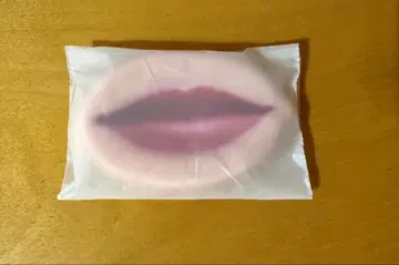 RADWIMPS 20thAnniversary 굿즈 하라페코 코인 케이스